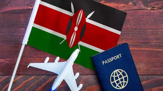 How to Secure an Indian Visa: A Complete Guide for Kenya and Namibia Citizens